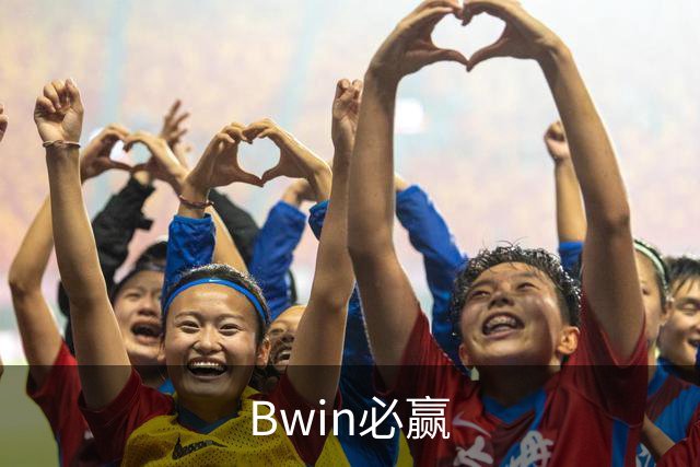 Bwin必赢公司简介